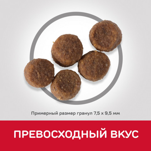 Сухой корм Hills Science Plan для щенков средних пород для поддержания сильного иммунитета, с курицей - 12 кг