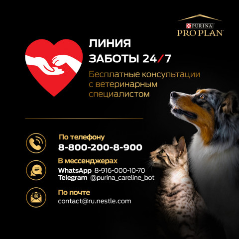 Pro Plan Cat Adult Optirenal сухой корм для взрослых кошек с курицей - 3 кг