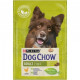 Dog Chow Adult Chicken & Rice (Корм для взрослых собак старше 1 года с Курицей и Рисом), 2,5 кг