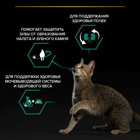 Pro Plan Adult Sterilised OptiRenal сухой корм для взрослых стерилизованных кошек с индейкой - 1,5 кг