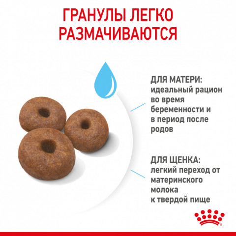 Royal Canin Giant Starter сухой корм для щенков до 2 месяцев, беременных и лактирующих собак гигантских пород - 15 кг