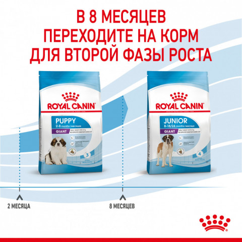 Royal Canin Giant Puppy сухой корм для щенков гигантских пород с 2 до 8 месяцев - 15 кг, Здоровое питание для щенков гигантских пород