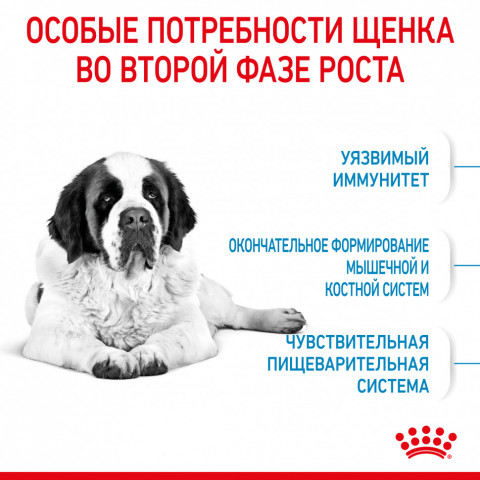 Royal Canin Giant Junior сухой корм для молодых собак гигантских пород с курицей - 3,5 кг