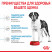 Royal Canin Giant Junior сухой корм для молодых собак гигантских пород с курицей - 3,5 кг