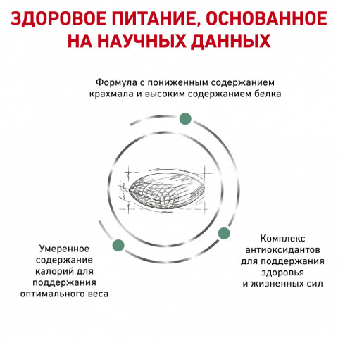 Royal Canin Diabetic Canine DS37 сухой корм для собак при ожирении 2 - й стадии или при сахарном диабете - 12 кг