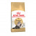 Royal Canin Persian сухой корм для взрослых кошек персидской породы - 10 кг