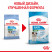 Royal Canin Mini Puppy сухой корм для щенков мелких пород до 8 месяцев - 4 кг