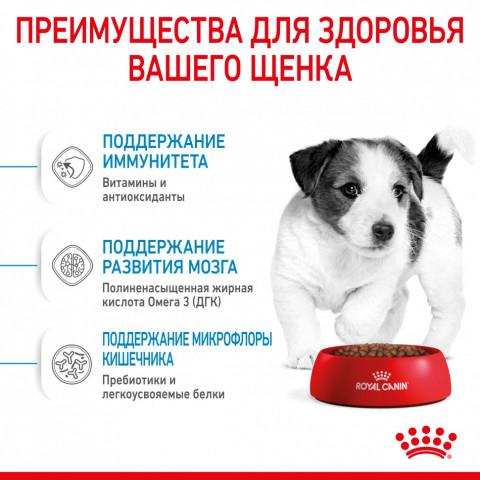 Royal Canin Mini Puppy сухой корм для щенков мелких пород до 8 месяцев - 4 кг