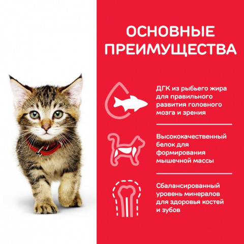 Сухой корм Hills Science Plan для котят для здорового роста и развития, с курицей - 300 г