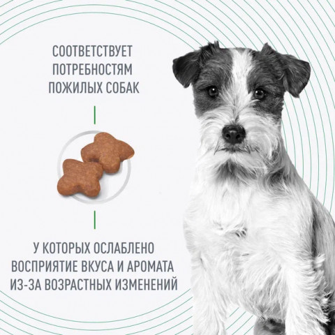 Royal Canin Mini Adult 8+ для взрослых собак мелких размеров (до 10 кг) старше 8 лет, 4 кг