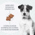 Royal Canin Mini Adult 8+ для взрослых собак мелких размеров (до 10 кг) старше 8 лет, 4 кг