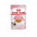 Royal Canin Kitten паучи для котят до 12 месяцев кусочки в желе - 85 г*24 шт
