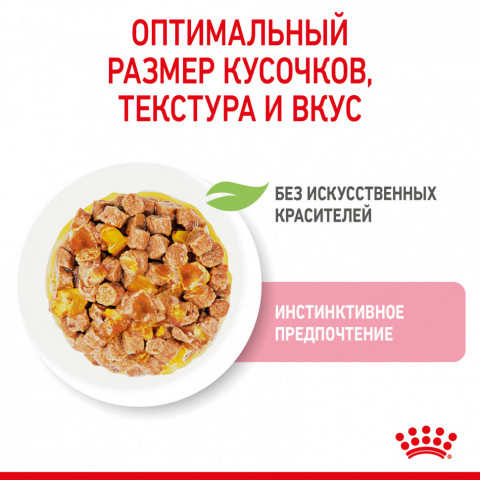 Royal Canin Kitten паучи для котят до 12 месяцев кусочки в желе - 85 г*24 шт