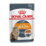 Royal Canin Intense Beauty паучи для взрослых кошек здоровая кожа и шерсть кусочки в желе - 85 г*24 шт