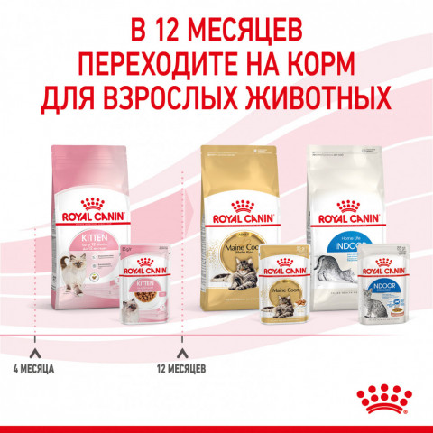 Royal Canin Kitten паучи для котят до 12 месяцев кусочки в соусе - 85 г*24 шт
