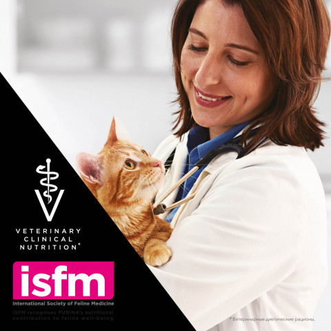 Purina Pro Plan Veterinary Diets UR St/Ox Urinary сухой корм для взрослых кошек с болезнями нижних отделов мочевыводящих путей с курицей - 1,5 кг