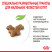 Royal Canin Kitten 34 сухой корм для котят от 4 до 12 месяцев с птицей - 300 г