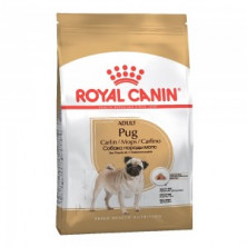 Royal Canin Adult сухой корм для собак породы мопс - 500 г
