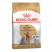 Royal Canin Yorkshire Terrier Adult для собак породы йоркширский терьер в возрасте от 10 месяцев - 1,5 кг