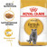Royal Canin British Shorthair сухой корм для взрослых кошек породы британская короткошерстная - 400 г