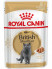 Royal Canin British Shorthair Adult паучи для взрослых британских короткошерстных кошек в соусе - 85 г*24 шт