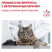 Royal Canin Urinary S/O Moderate Calorie Feline сухой корм для кошек при заболевании мочевыделительной системы - 400 г